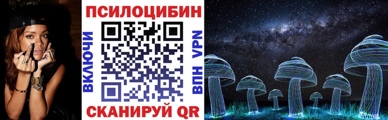Купить  Кулебаки  Галлюциногенные грибы Psilocybe 